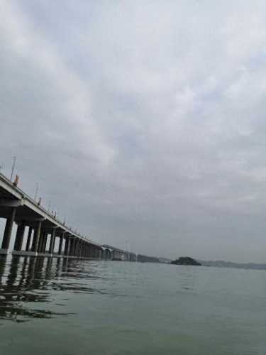 虎门钓鱼高手排名前十(河北钓鱼大师排名)插图3