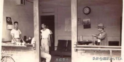 福建几大茶商排名前十(福建十大高峰)插图5