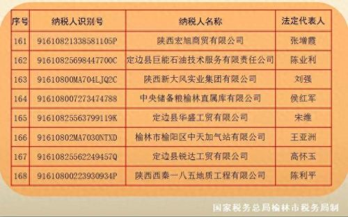 榆林企业税收排名前十(咸宁企业纳税排行)插图18