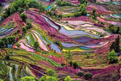 中国国土景观排名前十(油管评论中国国土面积)插图77