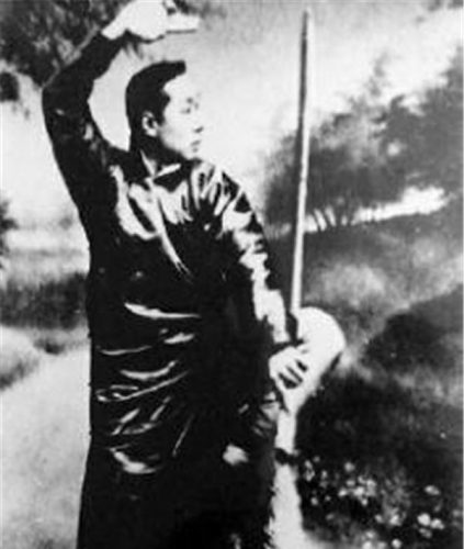 清朝战争人物排名前十(清朝有哪些名将)插图7
