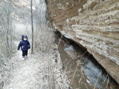 庆阳水上餐厅排名前十(庆阳农家乐哪家好)插图7