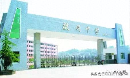 湖南汨罗小学排名前十(汨罗夹城小学)插图5