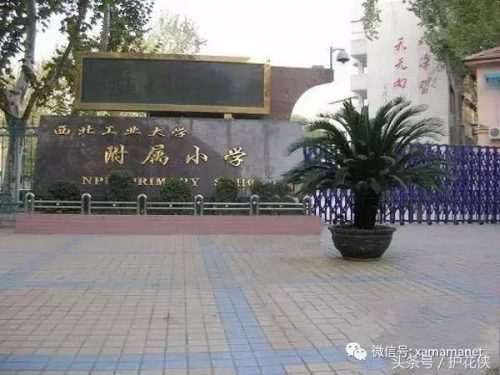 西安小学教科书排名前十(西安买学生用书在哪买)插图8