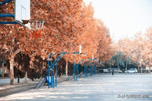 河南公认大专排名前十(河南十大最好大专)插图6
