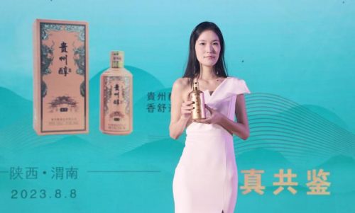 贵州砝码工厂排名前十(贵州有什么好工厂)插图9