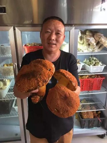 楚雄平价餐馆排名前十(楚雄最好的餐厅排行)插图9