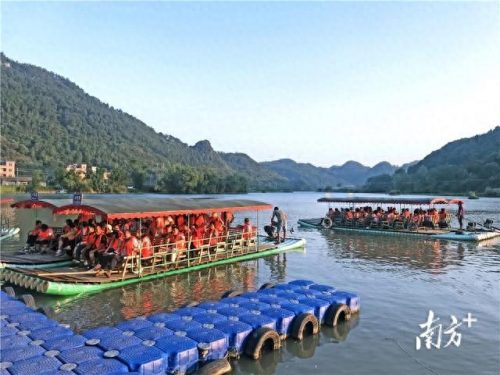 阳山出差景点排名前十(阳山小江银杏)插图3