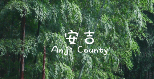 安吉冬季名宿排名前十(安吉网红名宿出售)插图