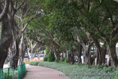深圳木梯公司排名前十(木梯行走教程)插图10