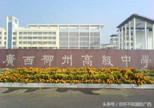 柳州高中梯队排名前十(小学排名)插图