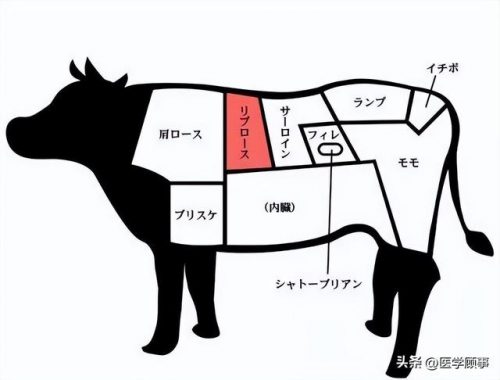 风味牛肉厂商排名前十(正宗潮汕牛肉火锅)插图9