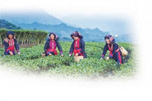 宜章高档餐厅排名前十(宜章餐厅推荐)插图1