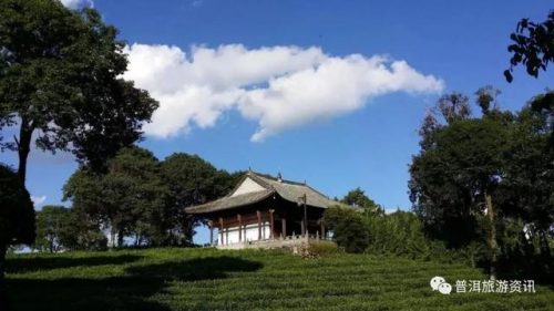 宁洱打卡饭店排名前十(洱源最好吃的餐馆)插图2