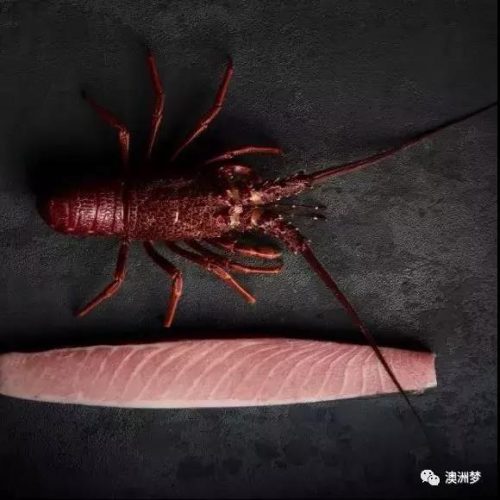 悉尼土豪餐厅排名前十(悉尼最好的酒店)插图17