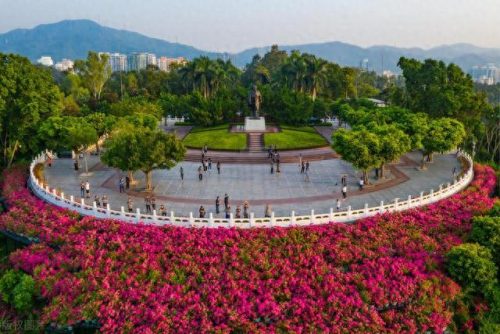 深圳重点景观排名前十(深圳生态公园排行榜)插图2