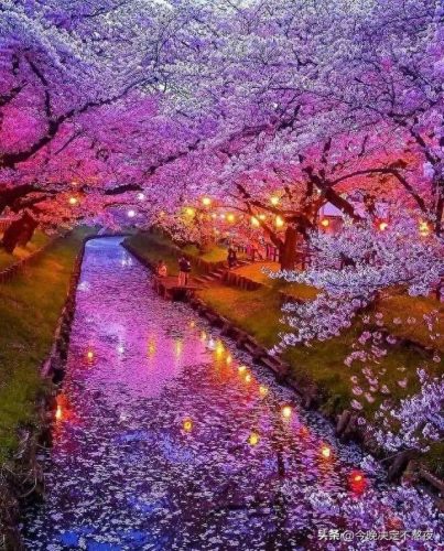 全球优美风景排名前十(全球最美风景排行)插图20