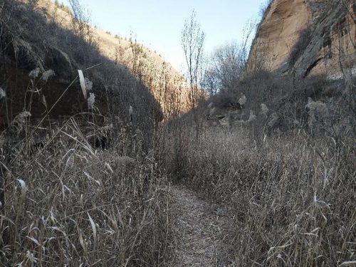 庆阳水上餐厅排名前十(庆阳农家乐哪家好)插图5