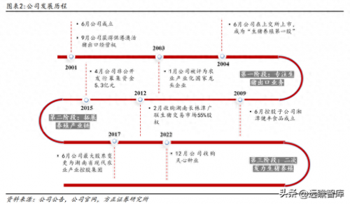 湖南仔猪产地排名前十(辽宁朝阳仔猪产地)插图2