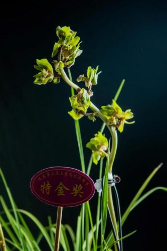 随州风水大师排名前十(随州楼盘墓地)插图21