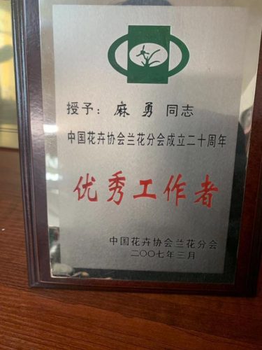 随州风水大师排名前十(随州楼盘墓地)插图2