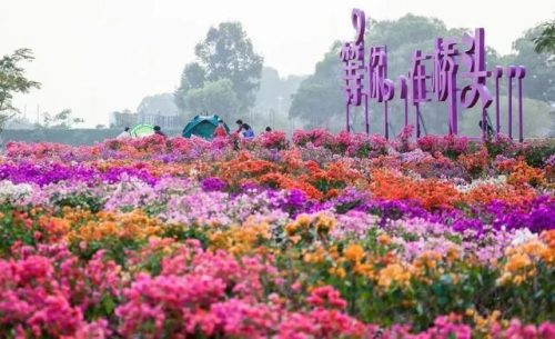 东莞露营商家排名前十(凤岗附近哪里可以露营)插图7