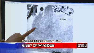杭州细小医院排名前十(细小不治疗能好么)插图8