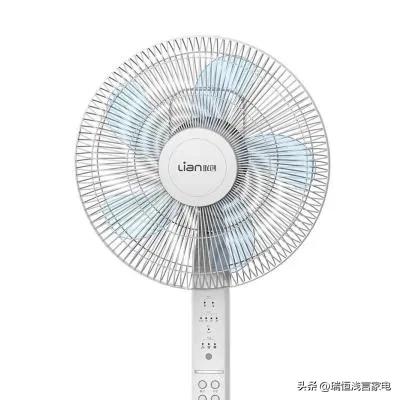 电扇排名前十的品牌(电吹风排名前十品牌)插图8