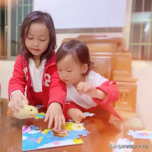 卡片拼图厂家排名前十(最著名的拼图品牌)插图
