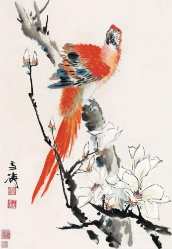 鹦鹉荔枝品种排名前十(最聪明的鹦鹉排名)插图16