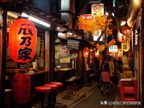 东京低价美食排名前十(东京大饭店美食全集)插图