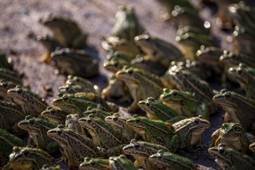 湘潭河口美食排名前十(湘潭有什么好吃的地方推荐)插图11
