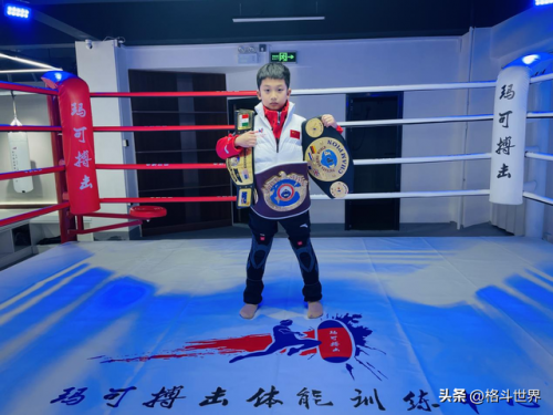 浙江拳击小将排名前十(天津排名前十的大学)插图5