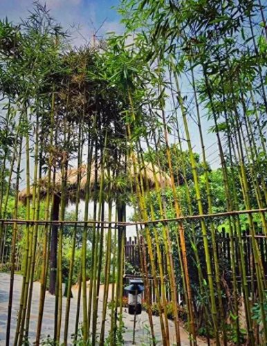 黑河地板公司排名前十(地板厂家排名前十名)插图10