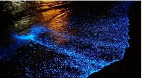 全球沙滩夜景排名前十(中国十大夜景城市)插图5