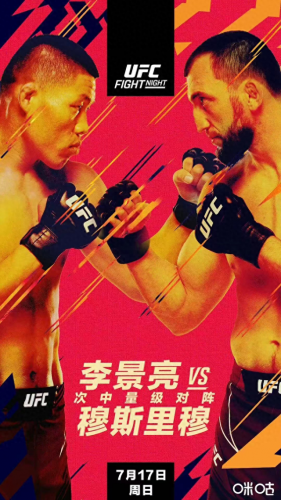 蝇量级ufc排名前十(ufc轻重量级排行榜最新)插图1
