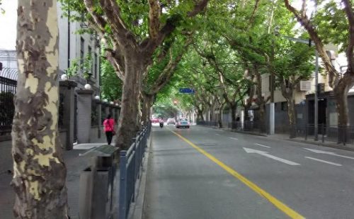 上海溜达景点排名前十(上海景点十大排名榜)插图36