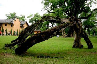 赣南地区景点排名前十(赣州最好的景点排名)插图7
