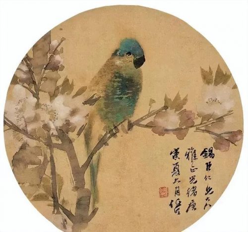 鹦鹉荔枝品种排名前十(最聪明的鹦鹉排名)插图8