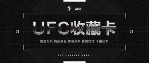 羽量级ufc排名前十(ufc中国人排名)插图15
