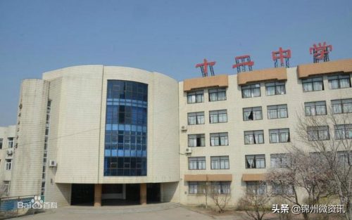 锦州黑山小学排名前十(锦州市哪个小学最好)插图3