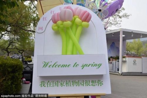 北京新品美食排名前十(北京十大名吃排行榜)插图14