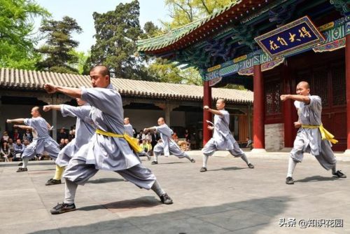 世界武术比武排名前十(全球武术排名)插图1