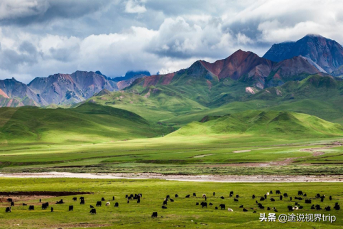 新疆各地草场排名前十(新疆草场政府每年都会给多少钱)插图9