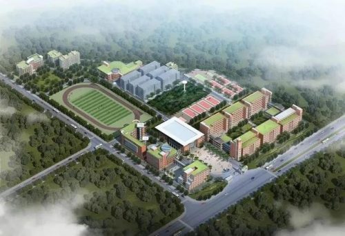 东莞外贸小学排名前十(大朗公办小学排名)插图19