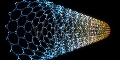 世界果皮长度排名前十(动物皮厚度排行)插图2