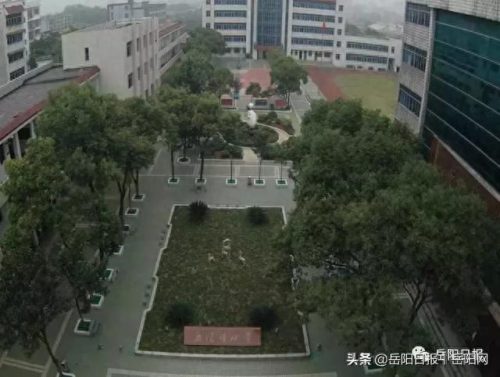 湖南汨罗小学排名前十(汨罗夹城小学)插图2