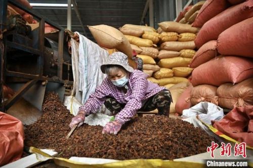 国内香料基地排名前十(中国十大香精香料公司)插图4