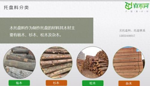 南京托盘厂商排名前十(江苏好的托盘)插图