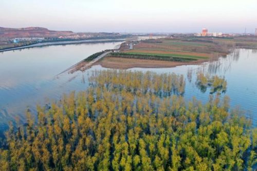 河南水槽工厂排名前十(歌庭水槽是品牌吗)插图26